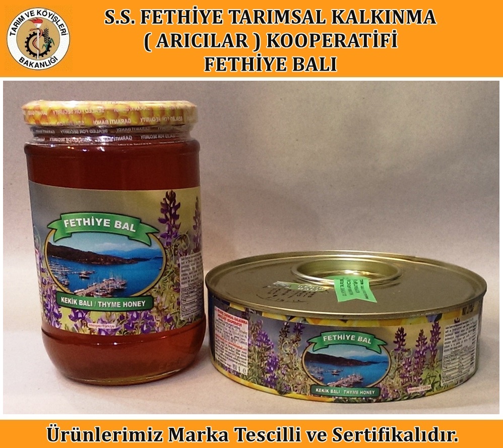 Kekik Balı 1 kg. Teneke