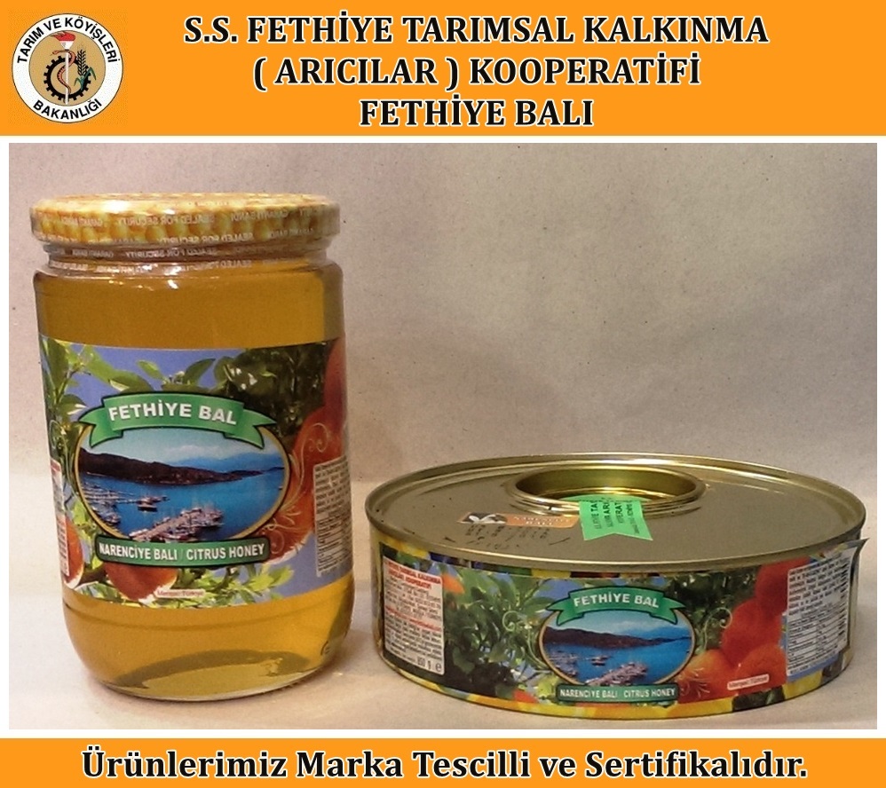 Narenciye Balı 1 Kg. Teneke