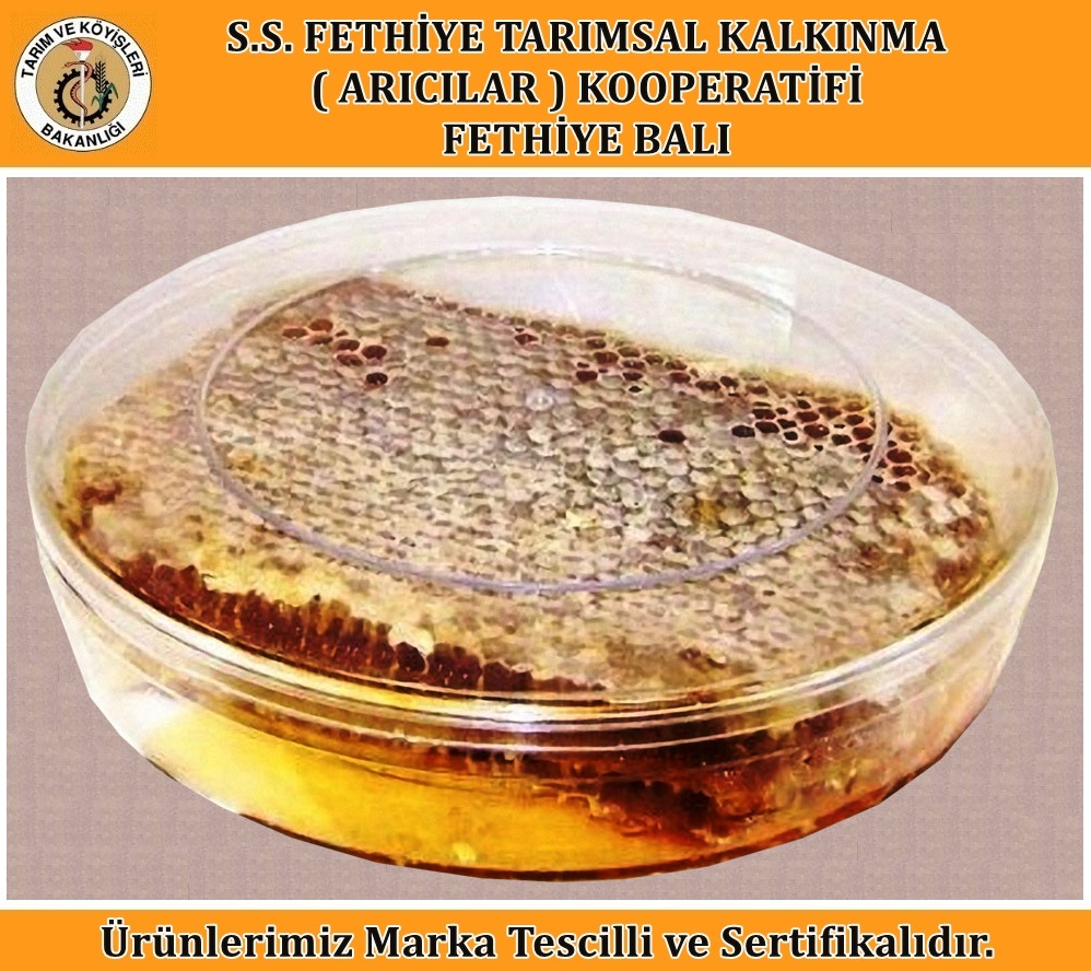 Doğal Petek Bal