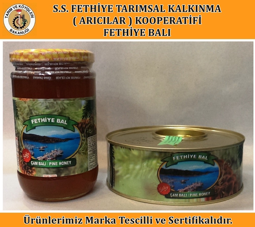 Salgı Çam Balı (1 Kg) Teneke