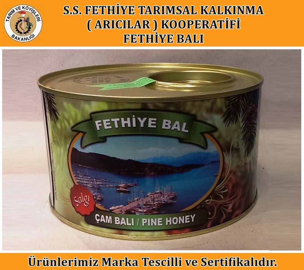 Salgı Çam Balı (2 Kg)