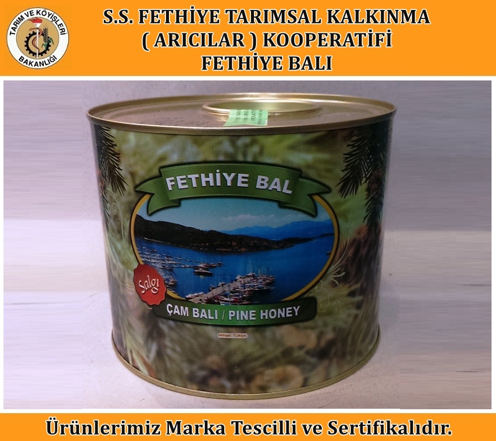 Salgı Çam Balı (3 Kg)